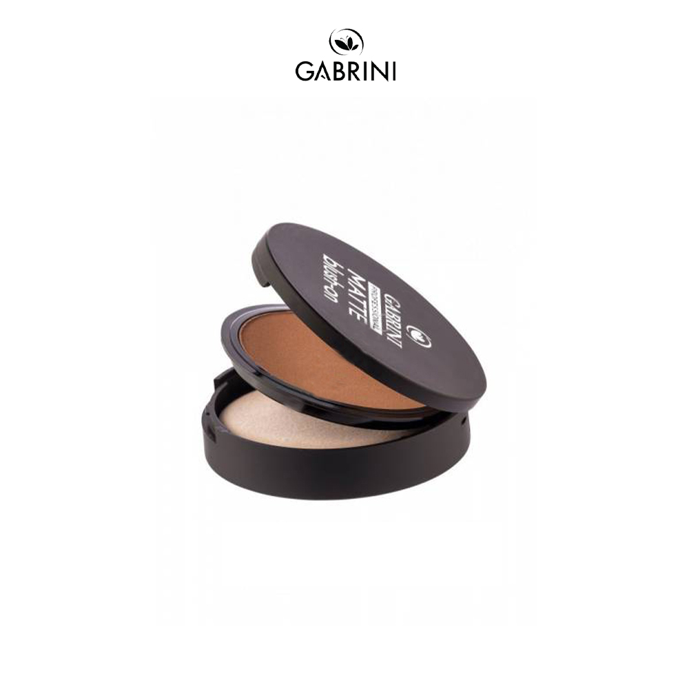 PROFESSIONAL MATTE BLUSH ON 04